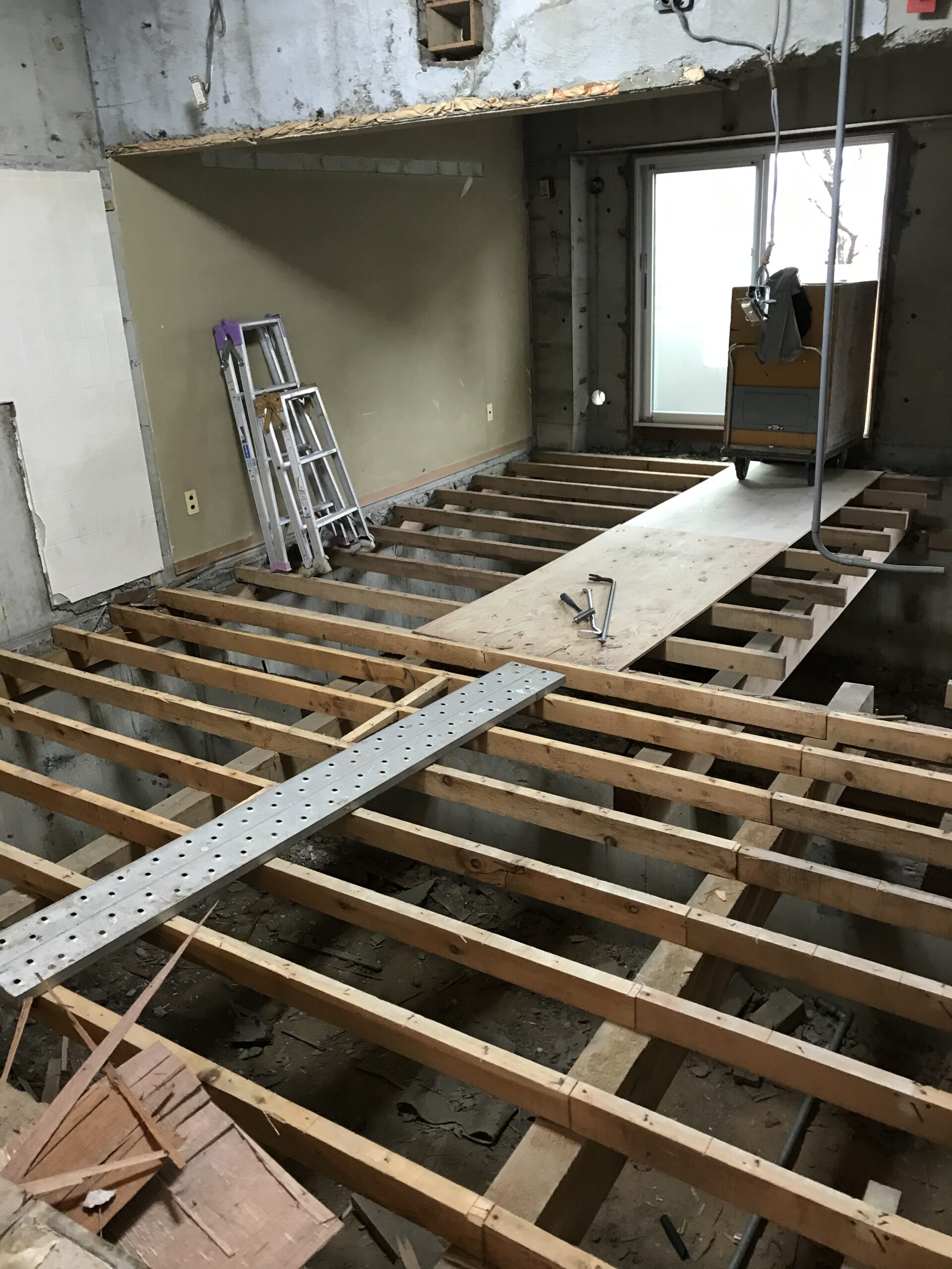 ギャラリー画像